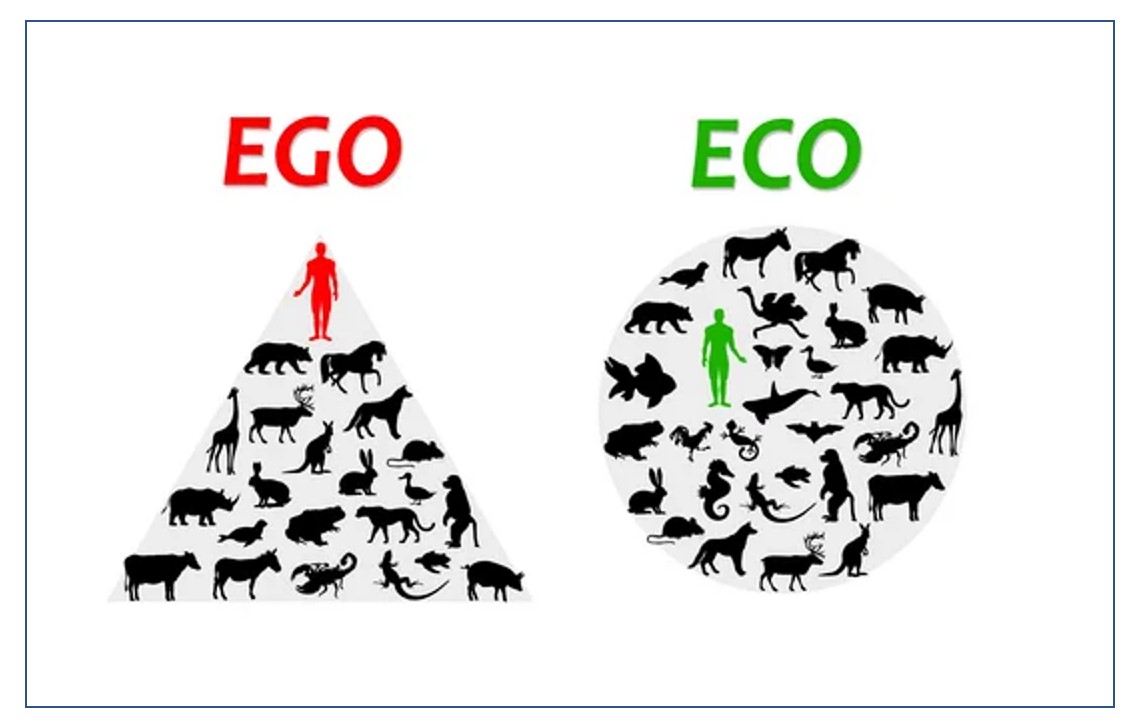 Humans and Biodiversity