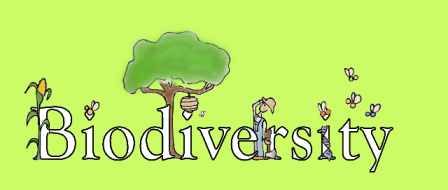 Biodiversity: Time to act